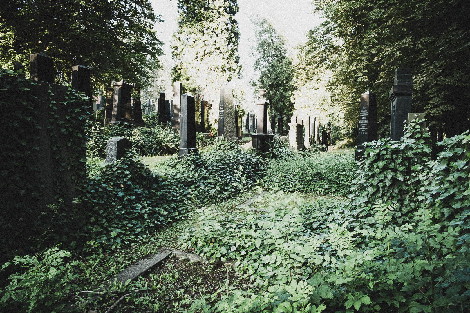 Jüdischer Friedhof Kassel-Bettenhausen